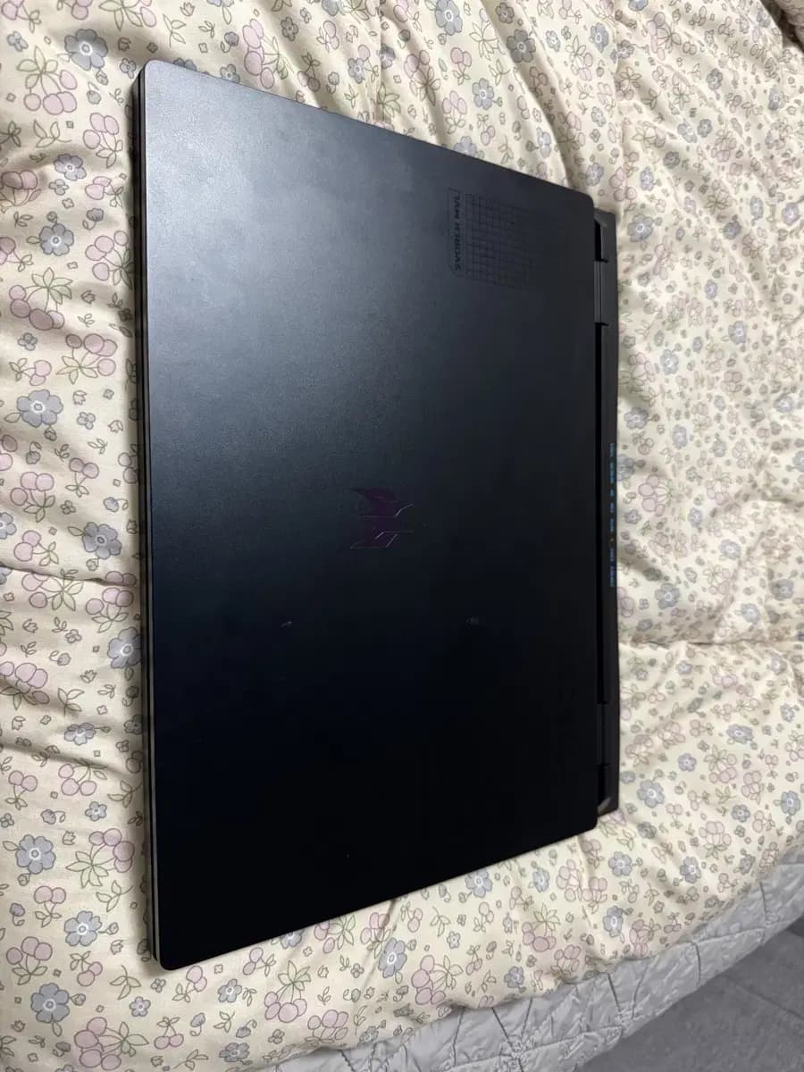 b3dfb3380db4ef1f12d01504456584b5_1739955692_6929.jpg b3dfb3380db4ef1f12d01504456584b5_1739955692_6929.jpg